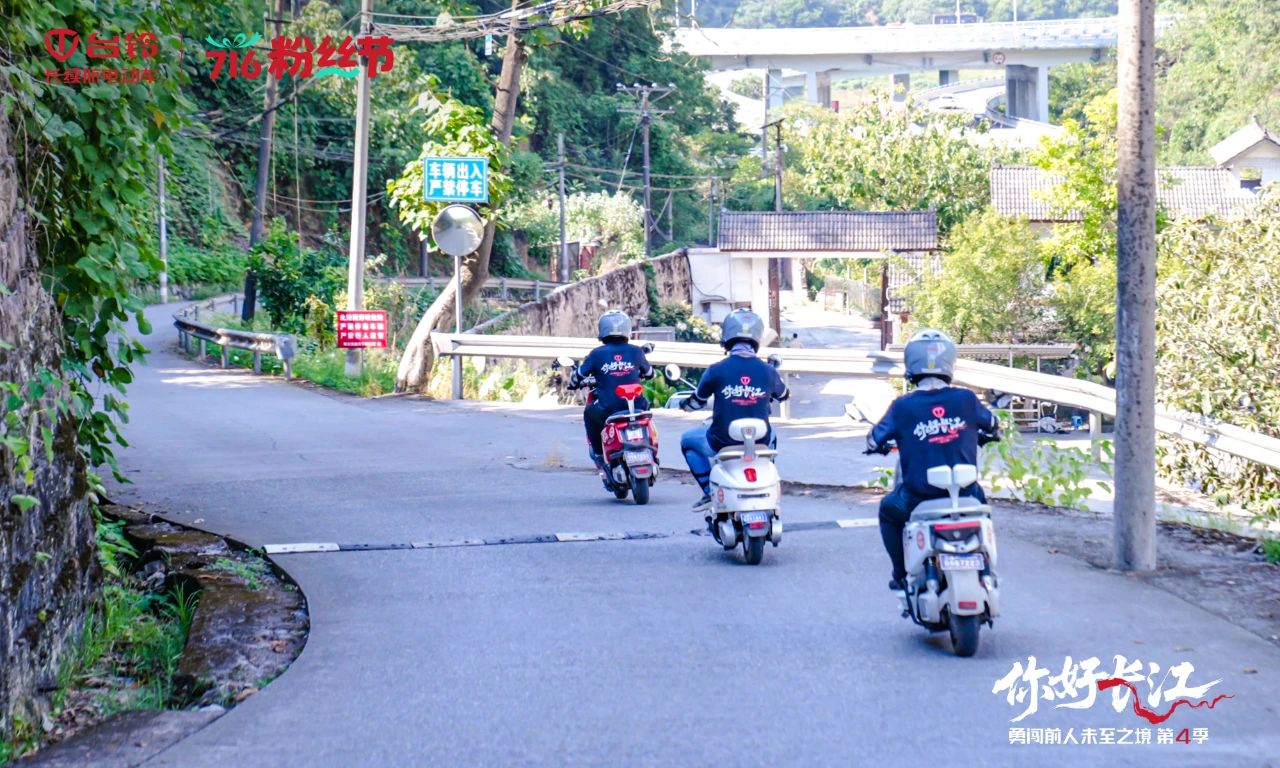 臺(tái)鈴6.jpg